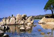 天涯小说神贴：那些年我们疯狂收藏的帖子！